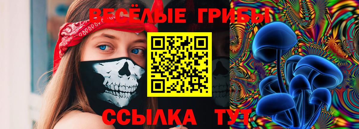 магазин продажи наркотиков  Псилоцибиновые грибы мухоморы  Вологда  Вход с VPN  Псилоцибиновые грибы Psilocybine cubensis 