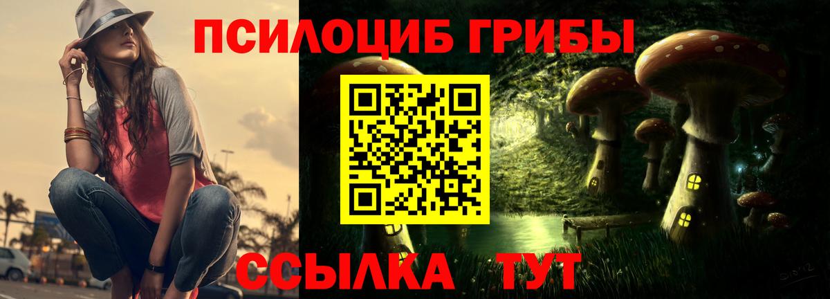 Галлюциногенные грибы Psilocybine cubensis Вологда